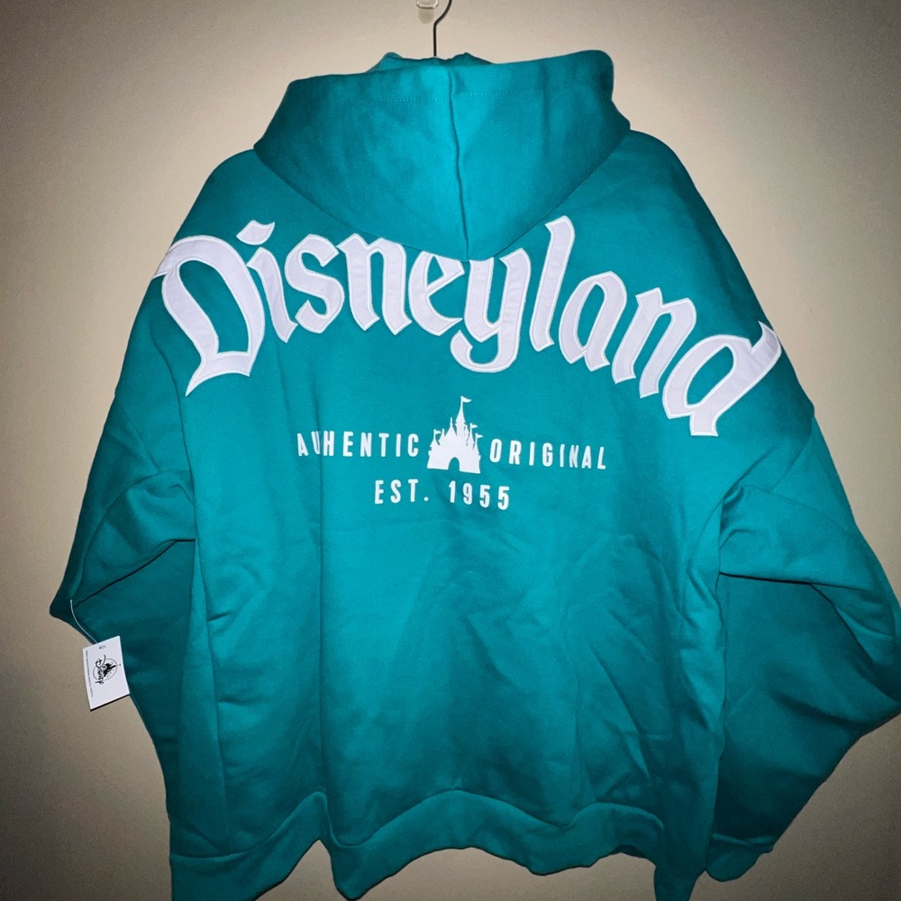 Teal Disneyland hoodie